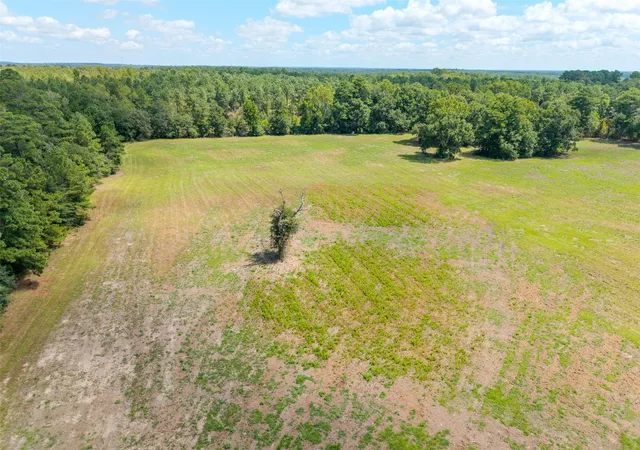 8th image of Tbd Cr 3365, Lovelady, TX 75851 | MLS# 85627987
