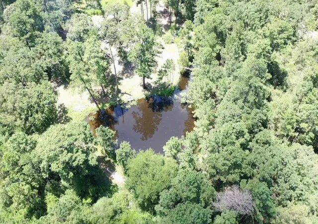 Photo 2 of Land for sale at 9175 Rocky Ridge Ln, Madisonville, TX 77864 | MLS# 32679181 | Listing updated on 2026-08-24