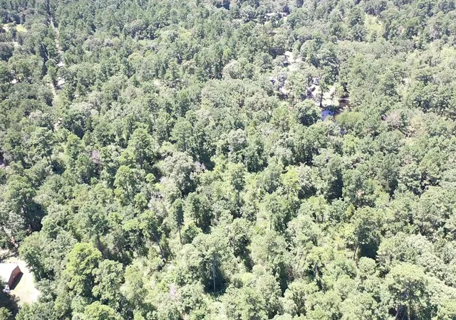 Photo 4 of Land for sale at 9175 Rocky Ridge Ln, Madisonville, TX 77864 | MLS# 32679181 | Listing updated on 2026-08-24