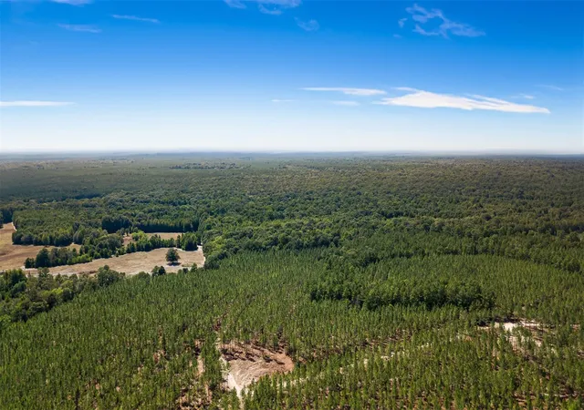 Photo 3 of Land for sale at 508 Hubert Cryer Rd, Zavalla, TX 75980 | MLS# 68693343 | Listing updated on 2026-08-10