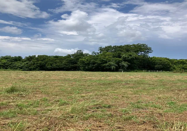 Photo 3 of Sale Pending at 728 County Rd 164, Boling, TX 77420 | MLS# 78339224 | Listing updated on 2026-09-19