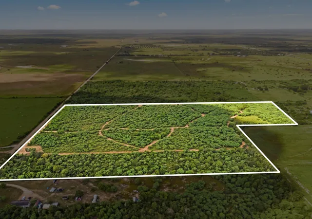 4th image of 3346 Orange Hill Rd, Sealy, TX 77474 | MLS# 21469386