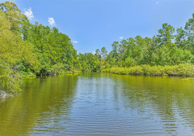 43rd image of 88 Raccoon Ramble, Cleveland, TX 77327 | MLS# 91154949