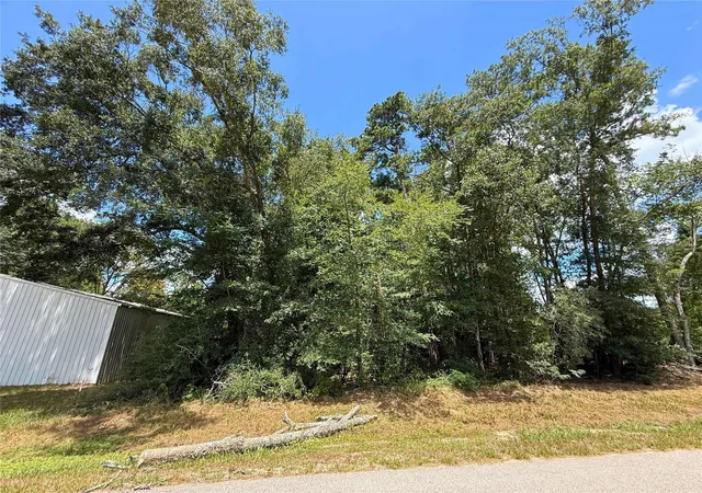 Photo 3 of Land for sale at 0 Colesseum Ct S, New Caney, TX 77357 | MLS# 8748049 | Listing updated on 2026-08-14