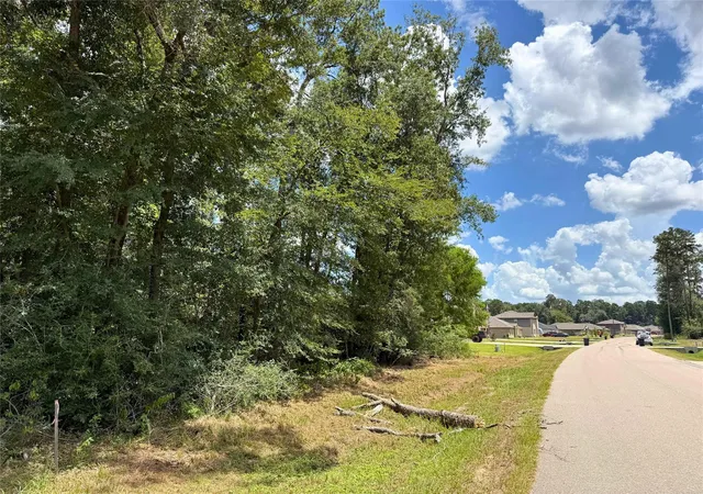 Photo 3 of Land for sale at 0 Colesseum Ct S, New Caney, TX 77357 | MLS# 8748049 | Listing updated on 2026-08-14