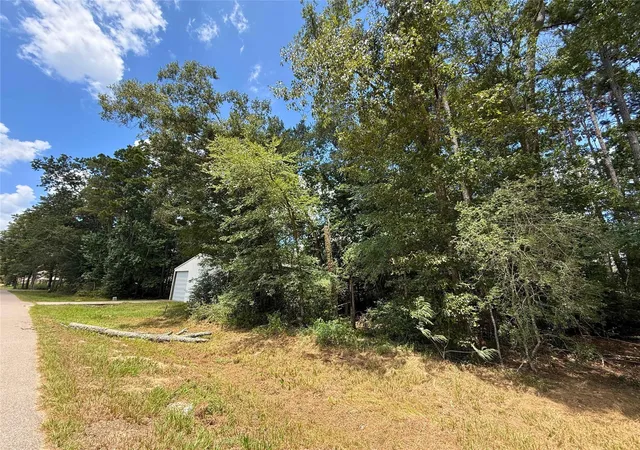 Photo 4 of Land for sale at 0 Colesseum Ct S, New Caney, TX 77357 | MLS# 8748049 | Listing updated on 2026-08-14
