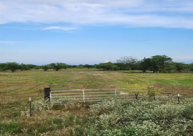 Photo 3 of Land for sale at 13530 Moody Rd, Needville, TX 77461 | MLS# 35737756 | Listing updated on 2026-09-23