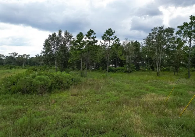 Photo 12 of Land for sale at 3001 Road 5503, Cleveland, TX 77327 | MLS# 65882933 | Listing updated on 2026-08-11