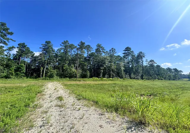 Photo 2 of Land for sale at 0035 Highway 249, Plantersville, TX 77363 | MLS# 2316221 | Listing updated on 2026-08-12