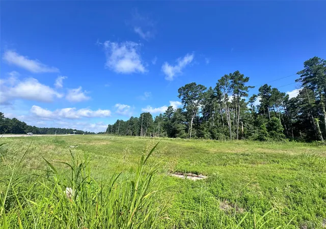 Photo 3 of Land for sale at 0035 Highway 249, Plantersville, TX 77363 | MLS# 2316221 | Listing updated on 2026-08-12