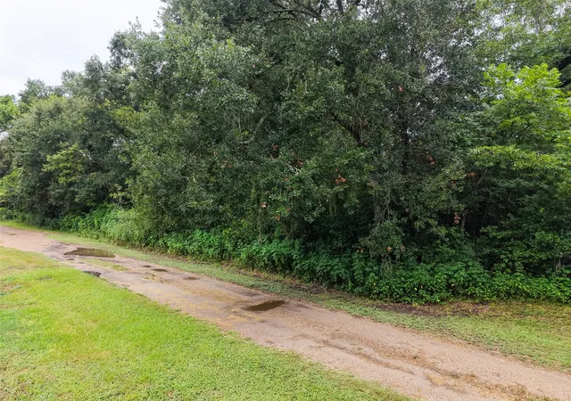 2nd image of 0 Pine St, Rosharon, TX 77583 | MLS# 38203278