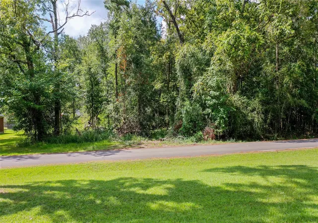 Photo 3 of Land for sale at 2210 Appian Way, New Caney, TX 77357 | MLS# 10236305 | Listing updated on 2026-08-14