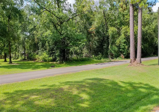 Photo 3 of Land for sale at 2210 Appian Way, New Caney, TX 77357 | MLS# 10236305 | Listing updated on 2026-08-14