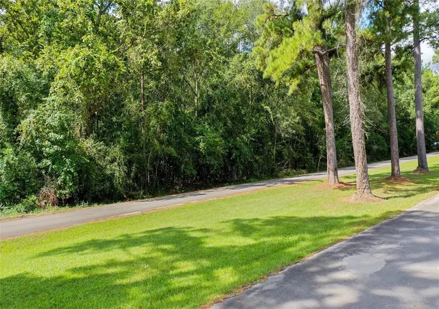 Photo 4 of Land for sale at 2210 Appian Way, New Caney, TX 77357 | MLS# 10236305 | Listing updated on 2026-08-14