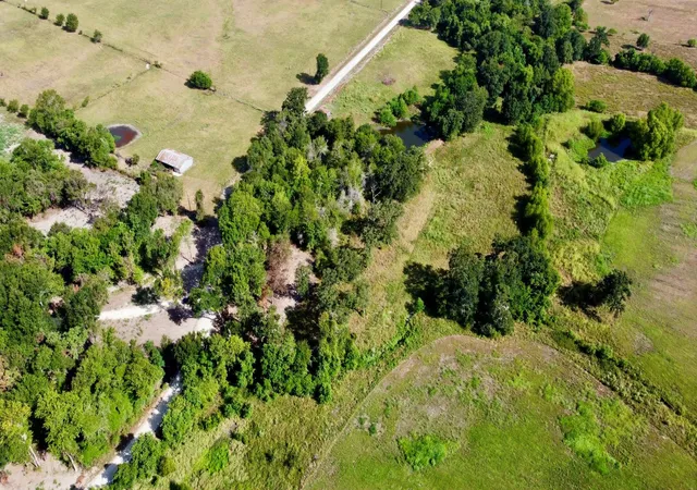 Photo 16 of Land for sale at 15+/  Acres Greenbriar Rd, Madisonville, TX 77864 | MLS# 92056898 | Listing updated on 2026-08-15