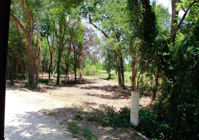 Photo 2 of Land for sale at 15+/  Acres Greenbriar Rd, Madisonville, TX 77864 | MLS# 92056898 | Listing updated on 2026-08-15