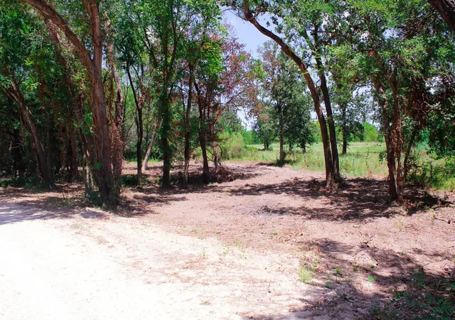 Photo 2 of Land for sale at 15+/- Acres Greenbriar Rd, Madisonville, TX 77864 | MLS# 92056898 | Listing updated on 2026-08-15
