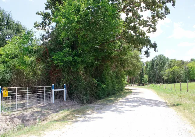 Photo 4 of Land for sale at 15+/- Acres Greenbriar Rd, Madisonville, TX 77864 | MLS# 92056898 | Listing updated on 2026-08-15