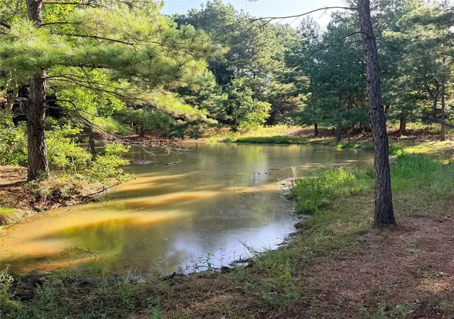 Photo 2 of Sale Pending at Tbd Fm 943 E, Livingston, TX 77351 | MLS# 86823673 | Listing updated on 2026-09-09