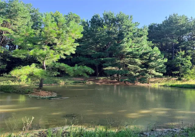 Photo 3 of Sale Pending at Tbd Fm 943 E, Livingston, TX 77351 | MLS# 86823673 | Listing updated on 2026-09-09