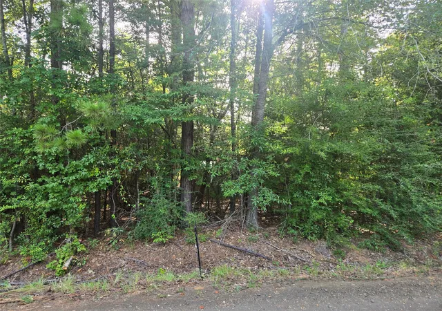 1st image of R000104361 Leisure Dr, Hemphill, TX 75948 | MLS# 54505500