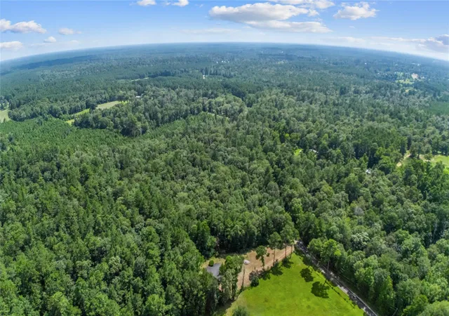 25th image of 2631 County Road 443, Kirbyville, TX 75956 | MLS# 7706872