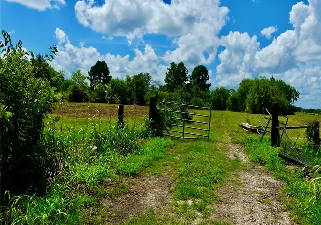 6th image of 7806 Mckeever Rd, Pearland, TX 77584 | MLS# 3545910