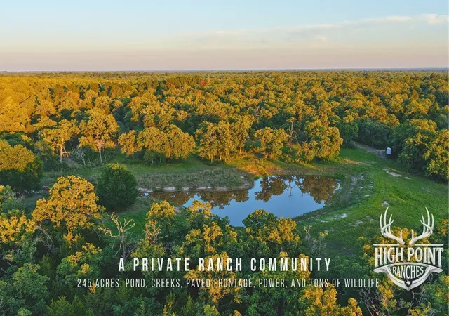 Photo 1 of Land for sale at Tbd Ranch Rd Off Cr 405 245 Acres, Lexington, TX 78947 | MLS# 80173552 | Listing updated on 2026-08-10