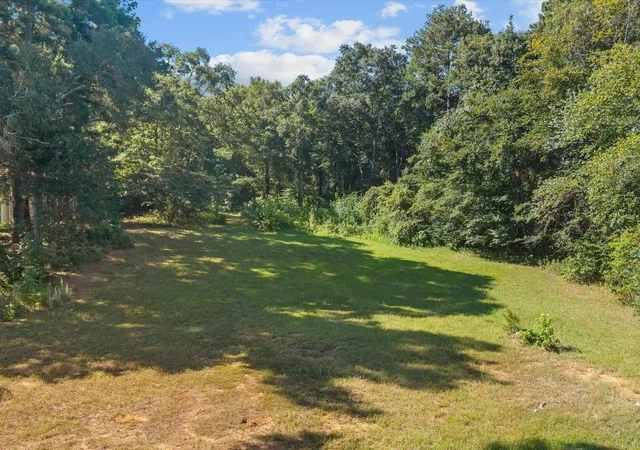 5th image of Tbd Cr 4117, Frankston, TX 75763 | MLS# 95041276