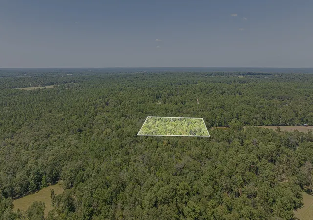 3rd image of 1400 Hill Rd, Willis, TX 77378 | MLS# 13509576