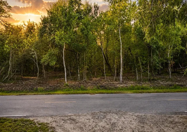 1st image of Tbd Lot 1 County Road 647, Guy, TX 77444 | MLS# 61005851