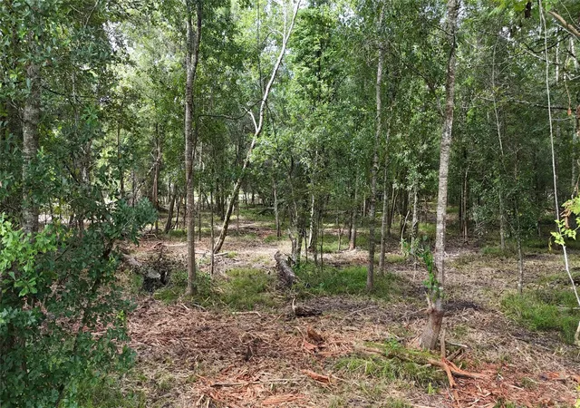 2nd image of Tbd Lot 1 County Road 647, Guy, TX 77444 | MLS# 61005851