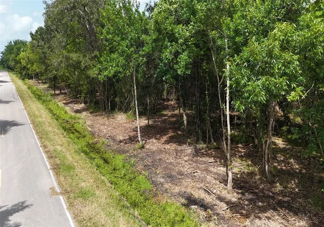 3rd image of Tbd Lot 1 County Road 647, Guy, TX 77444 | MLS# 61005851