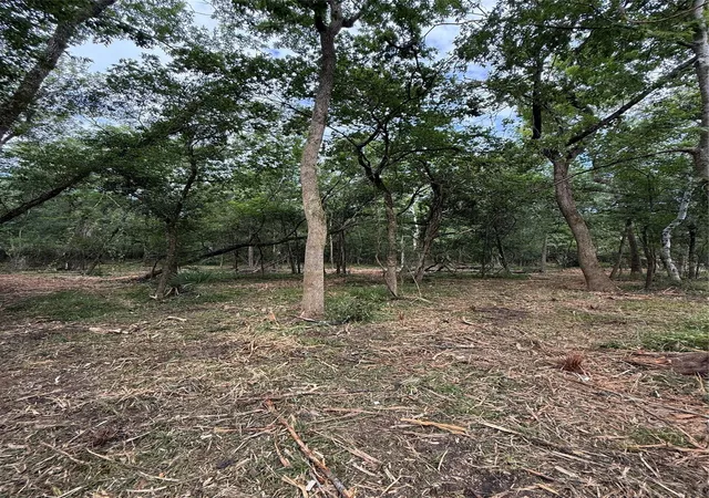 4th image of Tbd Lot 1 County Road 647, Guy, TX 77444 | MLS# 61005851