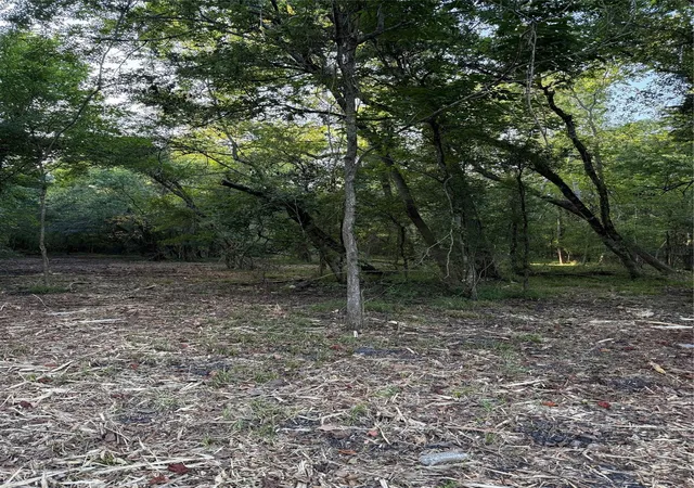 5th image of Tbd Lot 1 County Road 647, Guy, TX 77444 | MLS# 61005851