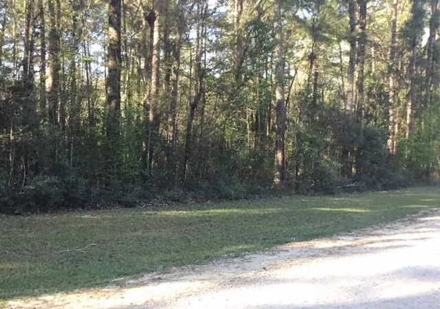 Photo 1 of Land for sale at 310 Johnson Dr, Livingston, TX 77351 | MLS# 40965359 | Listing updated on 2026-08-14