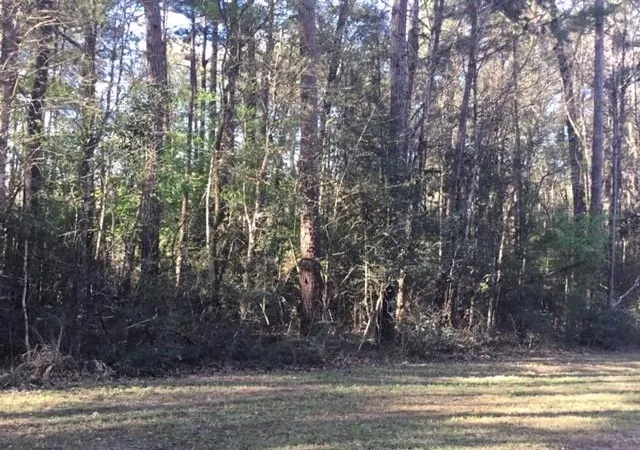 Photo 3 of Land for sale at 310 Johnson Dr, Livingston, TX 77351 | MLS# 40965359 | Listing updated on 2026-08-14