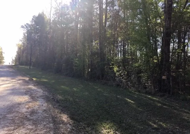 Photo 4 of Land for sale at 310 Johnson Dr, Livingston, TX 77351 | MLS# 40965359 | Listing updated on 2026-08-14