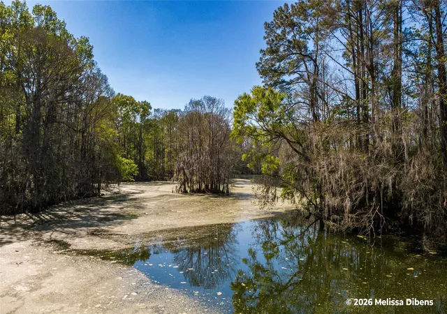 Photo 3 of Land for sale at 28 Rail Spur, Cleveland, TX 77327 | MLS# 54508163 | Listing updated on 2026-08-11