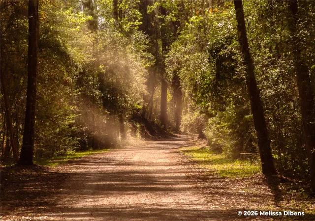 Photo 3 of Land for sale at 28 Rail Spur, Cleveland, TX 77327 | MLS# 54508163 | Listing updated on 2026-08-11