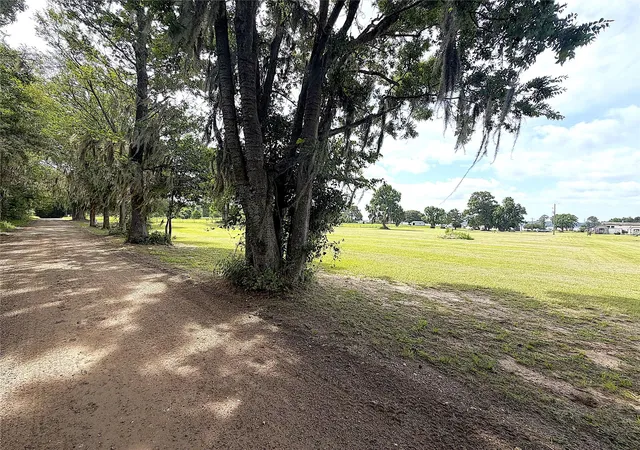 Photo 1 of Sale Pending at 247 S Skains Chapel Rd, Trinity, TX 75862 | MLS# 30228003 | Listing updated on 2026-09-06
