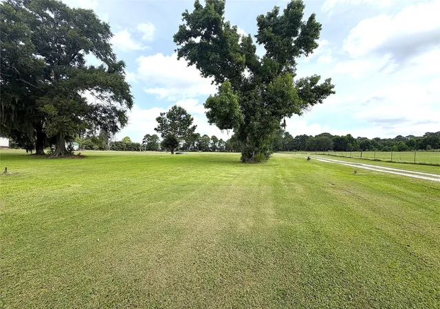 Photo 4 of Sale Pending at 247 S Skains Chapel Rd, Trinity, TX 75862 | MLS# 30228003 | Listing updated on 2026-09-06