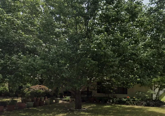 3rd image of 2512 Eastbrook Dr, Mesquite, TX 75150 | MLS# 7703337