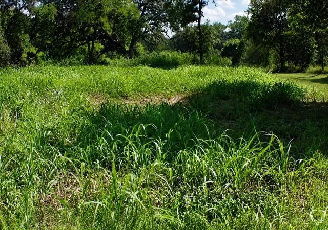 4th image of Lot 5 Sw Blk 1St Ave, Waelder, TX 78959 | MLS# 94310995