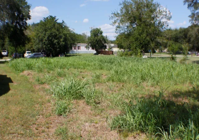 5th image of Lot 5 Sw Blk 1St Ave, Waelder, TX 78959 | MLS# 94310995