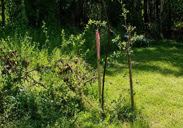6th image of Lot 5 Sw Blk 1st Ave, Waelder, TX 78959 | MLS# 94310995