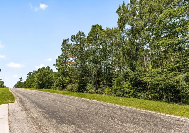 1st image of Lot 2&3 Remington Rd, Huntsville, TX 77340 | MLS# 88062519