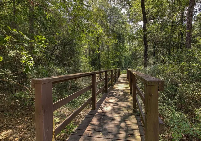 27th image of Lot 2&3 Remington Rd, Huntsville, TX 77340 | MLS# 88062519