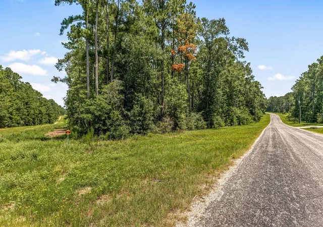 2nd image of Lot 2&3 Remington Rd, Huntsville, TX 77340 | MLS# 88062519