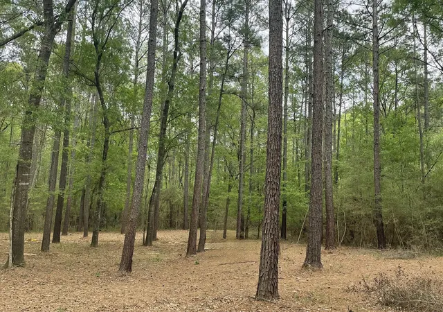 Photo 3 of Land for sale at Lot 2&3 Remington Rd, Huntsville, TX 77340 | MLS# 88062519 | Listing updated on 2026-08-10
